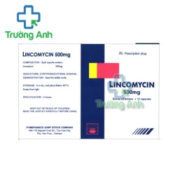 Lincomycin 500mg Pymepharco - Thuốc điều trị nhiễm khuẩn